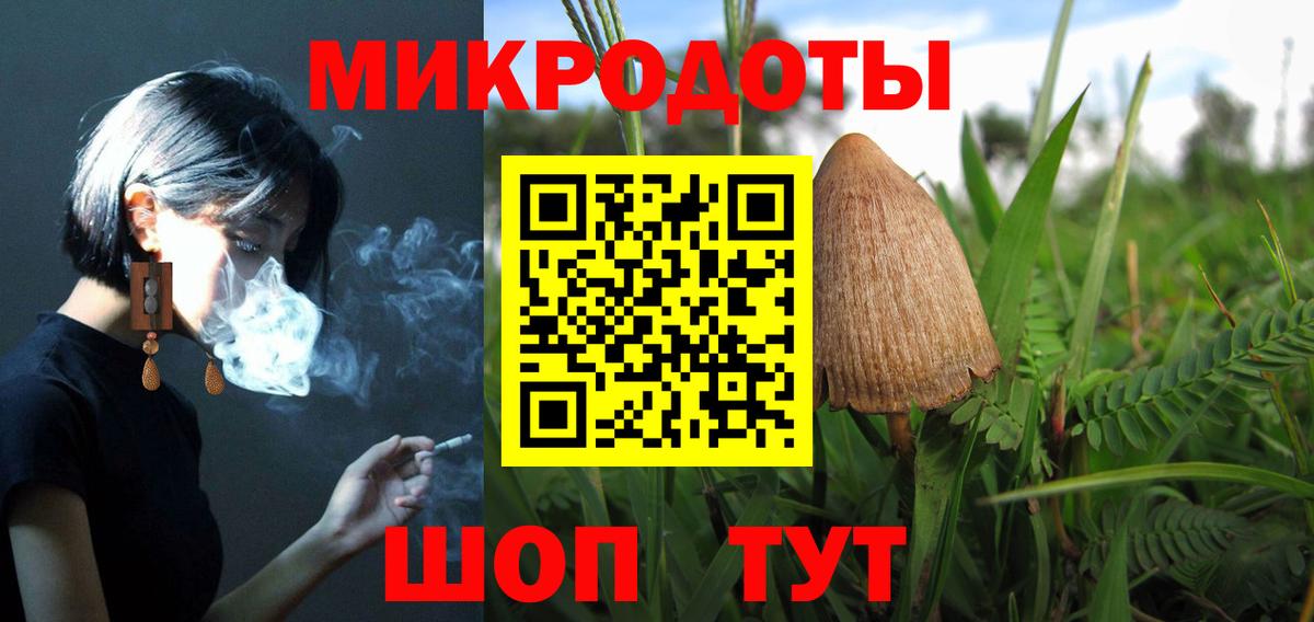 Людиново  Псилоцибиновые грибы Psilocybe  Вход с VPN 